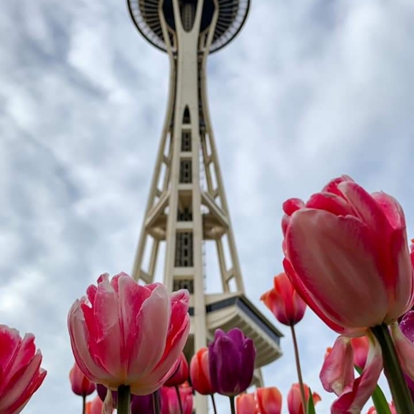 Meet your Posher, Ramona - Picture 2 of 2